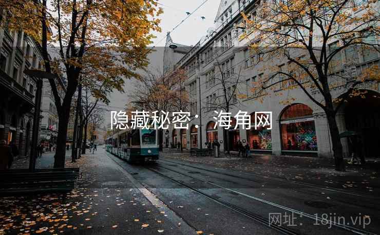 隐藏秘密：海角网