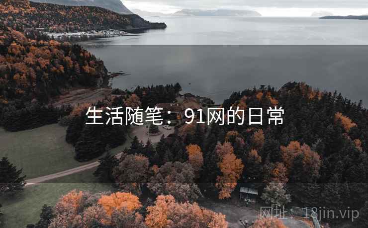生活随笔：91网的日常
